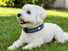 Load image into Gallery viewer, Handmade Beaded Kenyan Dog Collar | Authentic Maasai Pet Collar | Artisan Collar | Blue and White | Africa Pet Accessory