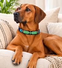 Cargar imagen en el visor de la galería, Handmade Beaded Kenyan Dog Collar | Authentic Maasai Pet Collar | Artisan Collar | Cultural Design