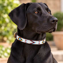 Lade das Bild in den Galerie-Viewer, Beaded Kenyan Dog Collar | Authentic Maasai Pet Collar | Artisan Collar | African Cultural | Design Red Indian