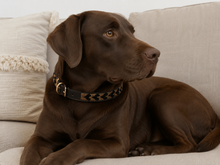 Charger l'image dans la galerie, Handmade Beaded Kenyan Dog Collar | Authentic Maasai Pet Collar | Artisan Collar | Earth Colours | Africa Pet Accessory