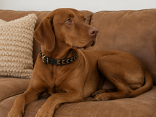 Charger l'image dans la galerie, Handmade Beaded Kenyan Dog Collar | Authentic Maasai Pet Collar | Artisan Collar | Earth Colours | Africa Pet Accessory
