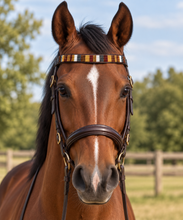 Load image into Gallery viewer, Hand-Beaded Leather Horse Browband | Artisan Horse Tack-Earth