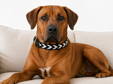 Load image into Gallery viewer, Handmade Beaded Kenyan Dog Collar | Authentic Maasai Pet Collar | Artisan Collar | Black and White | Africa Pet Accessory