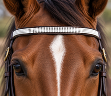 Lade das Bild in den Galerie-Viewer, Hand-Beaded Leather Horse Browband | Artisan Horse Tack-All White