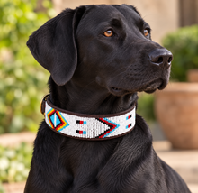 Lade das Bild in den Galerie-Viewer, Beaded Kenyan Dog Collar | Authentic Maasai Pet Collar | Artisan Collar | African Cultural | Design Red Indian