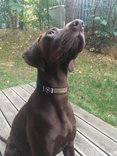 Load image into Gallery viewer, Earth Handmade Dog Collars / Belts / Leash / Matching Bracelet