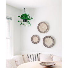 Load image into Gallery viewer, A set of Wall Decor Baskets/ Tonga Basket Set of 3