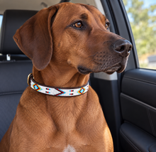 Lade das Bild in den Galerie-Viewer, Beaded Kenyan Dog Collar | Authentic Maasai Pet Collar | Artisan Collar | African Cultural | Design Red Indian
