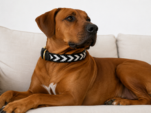 Charger l'image dans la galerie, Handmade Beaded Kenyan Dog Collar | Authentic Maasai Pet Collar | Artisan Collar | Black and White | Africa Pet Accessory
