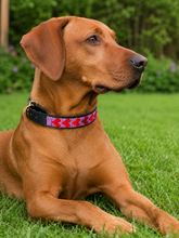 Charger l'image dans la galerie, Handmade Beaded Kenyan Dog Collar | Authentic Maasai Pet Collar | Artisan Collar | Pink Dog Collar
