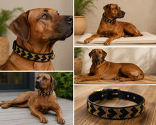 Load image into Gallery viewer, Handmade Beaded Kenyan Dog Collar | Authentic Maasai Pet Collar | Artisan Collar | Earth Colours | Africa Pet Accessory
