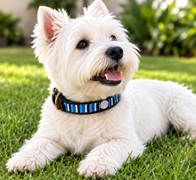 Load image into Gallery viewer, Handmade Beaded Kenyan Dog Collar | Authentic Maasai Pet Collar | Artisan Collar | Blue and White  | Africa Pet Accessory
