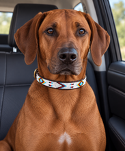 Lade das Bild in den Galerie-Viewer, Beaded Kenyan Dog Collar | Authentic Maasai Pet Collar | Artisan Collar | African Cultural | Design Red Indian
