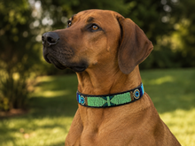 Lade das Bild in den Galerie-Viewer, Handmade Beaded Kenyan Dog Collar | Authentic Maasai Pet Collar | Artisan Collar | Cultural Design
