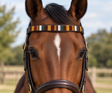 Load image into Gallery viewer, Hand-Beaded Leather Horse Browband | Artisan Horse Tack-Earth
