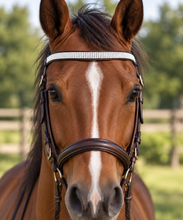 Load image into Gallery viewer, Hand-Beaded Leather Horse Browband | Artisan Horse Tack-All White
