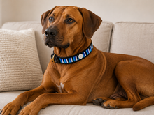 Load image into Gallery viewer, Handmade Beaded Kenyan Dog Collar | Authentic Maasai Pet Collar | Artisan Collar | Blue and White  | Africa Pet Accessory
