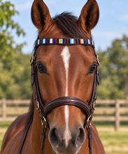 Load image into Gallery viewer, Hand-Beaded Leather Horse Browband | Artisan Horse Tack-Colour Trooping
