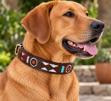 Load image into Gallery viewer, Beaded Kenyan Dog Collar | Authentic Maasai Pet Collar | Artisan Collar | African Cultural Design
