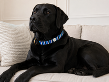 Load image into Gallery viewer, Handmade Beaded Kenyan Dog Collar | Authentic Maasai Pet Collar | Artisan Collar | Blue and White  | Africa Pet Accessory
