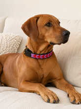 Charger l'image dans la galerie, Handmade Beaded Kenyan Dog Collar | Authentic Maasai Pet Collar | Artisan Collar | Pink Dog Collar
