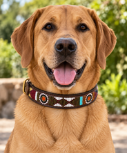 Load image into Gallery viewer, Beaded Kenyan Dog Collar | Authentic Maasai Pet Collar | Artisan Collar | African Cultural Design
