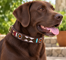 Load image into Gallery viewer, Beaded Kenyan Dog Collar | Authentic Maasai Pet Collar | Artisan Collar | African Cultural Design
