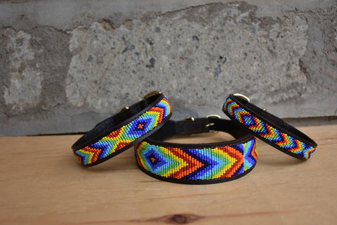 Regenbogen-Maasai-Perlen-Hundehalsbänder / Gürtel / Leine / passendes Armband