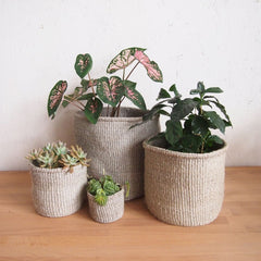 Khaki Sisal Planters