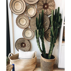 Zimbabwe Baskets 8 Set