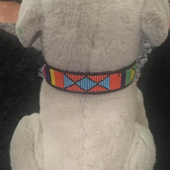 Mixed Colours Dog Collar